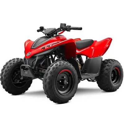 Concessionnaire des véhicules neufs et d'occasion. VTT CF MOTO CFORCE 110 Classic 2025 Il n'y a rien...