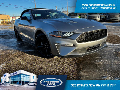 2022 Ford Mustang Premium | Rear Cam | Heated Seats | Convertib