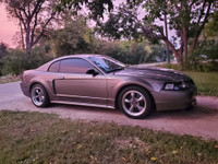 2002 Ford Mustang GT GT
