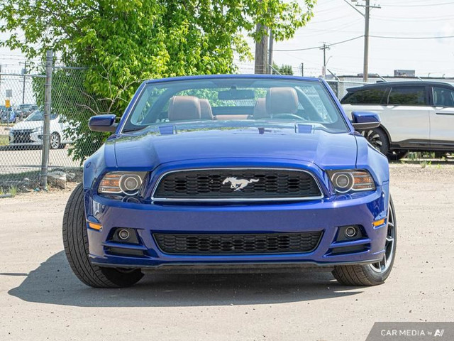 2013 Ford Mustang GT MINT in Cars & Trucks in Edmonton - Image 2