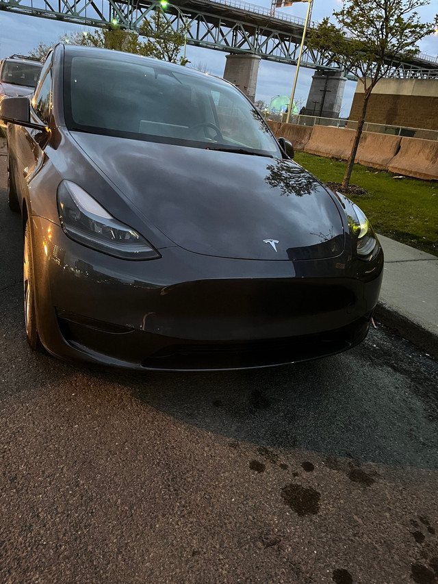 2023 Tesla Model Y De base in Cars & Trucks in Québec City