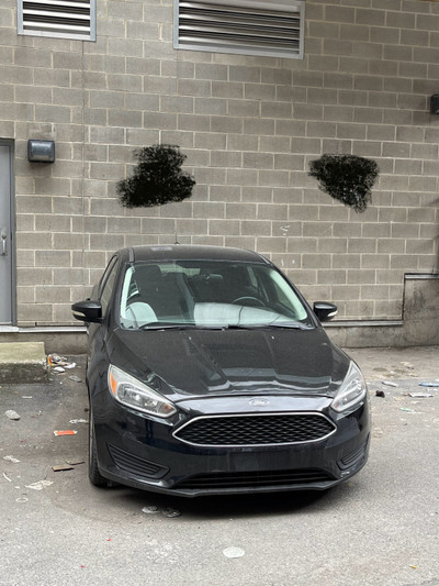 2015 Ford Focus SE