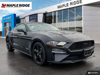 This 2022 Ford Mustang I4CP is loaded with top-line features. ENGINE: 2.3L ECOBOOST (STD), Trunk Rea... (image 6)