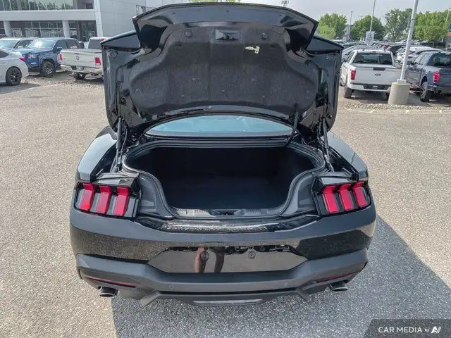 2025 Ford Mustang EcoBoost in Cars & Trucks in Brandon - Image 20
