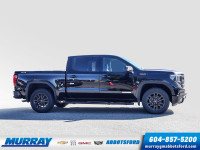 FREIGHT, Federal Air Conditioning Excise Tax, Elevation Preferred Equipment Group, Engine, 5.3L Ecot... (image 3)