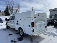 See Dealer Website for Details. 2017 Ford Super Duty F-250 SRW (image 1)