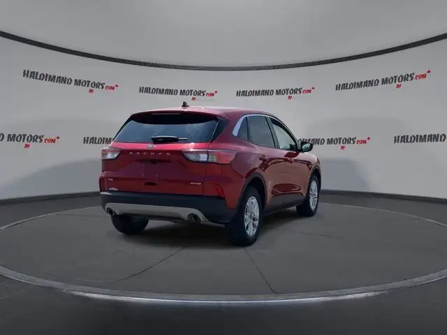 2021 Ford Escape SE in Cars & Trucks in Hamilton - Image 9