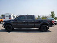 The 2014 Ford F-150 XLT is a versatile and dependable full-size pickup---perfect for both work and e... (image 3)