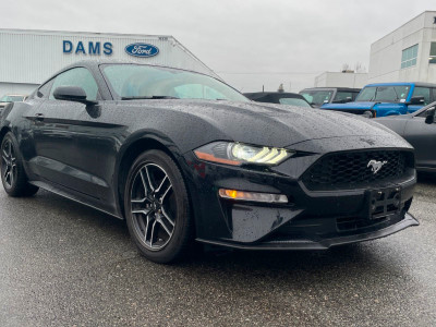2019 Ford Mustang ECOBOOST - PADDLE SHIFTERS/NAVIGATION