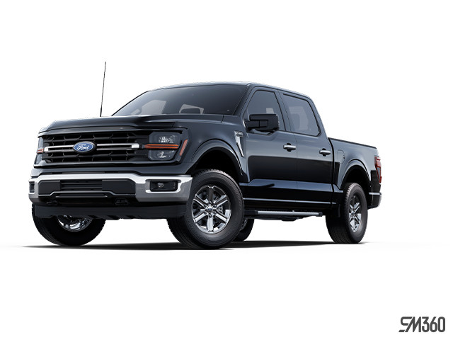 2025 Ford F-150 XLT dans Autos et camions  à Région de Windsor - Image 3