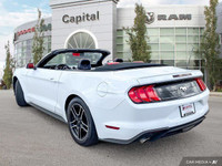 Get ready to soak up the sun and feel the wind in your hair, because the 2023 Ford Mustang EcoBoost... (image 3)