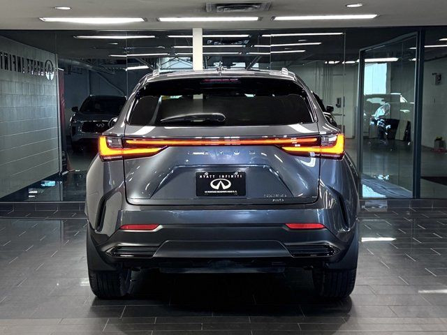 2024 Lexus NX NX 350 - Apple CarPlay | Cooled Seats | Seat in Cars & Trucks in Calgary - Image 4
