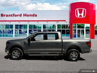 Dominate any terrain with this powerful 2024 Ford F-150 XLT Crew Cab. This robust truck boasts a pot... (image 1)