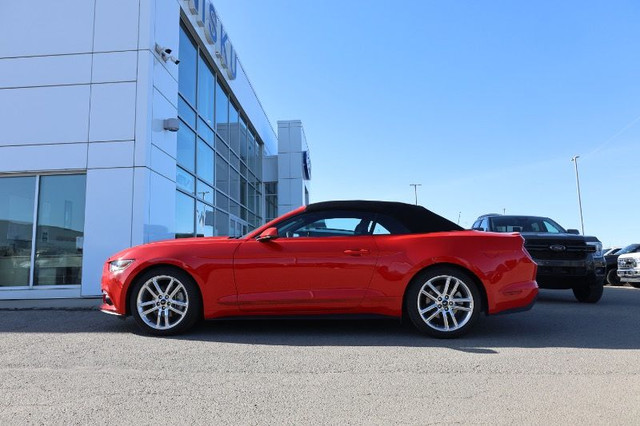 2017 Ford Mustang EcoBoost Premium Convertible in Cars & Trucks in Edmonton - Image 4