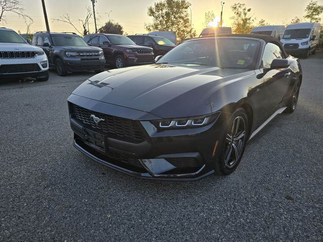 2024 Ford Mustang ECOBOOST PREMIUM CONVERTIBLE in Cars & Trucks in Calgary - Image 4