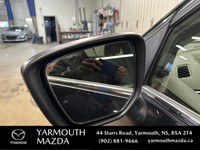 Heated Seats, Air Conditioning, Heated Steering Wheel, Cruise Control, Backup Cam, Touchscreen, Tint... (image 7)