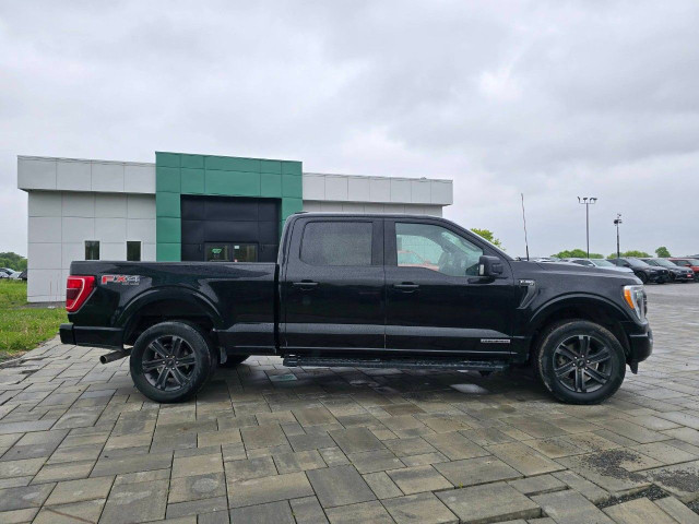 2022 Ford F-150 in Cars & Trucks in Ottawa - Image 4