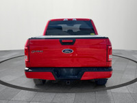 This 2017 Ford F-150 SuperCrew XLT offers power, space, and reliability in one of Canada’s best-sell... (image 4)