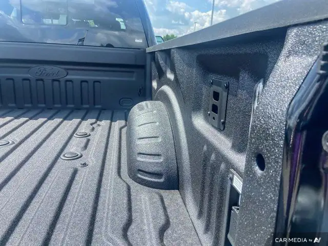 2025 Ford Super Duty F-350 SRW Platinum in Cars & Trucks in Brandon - Image 34