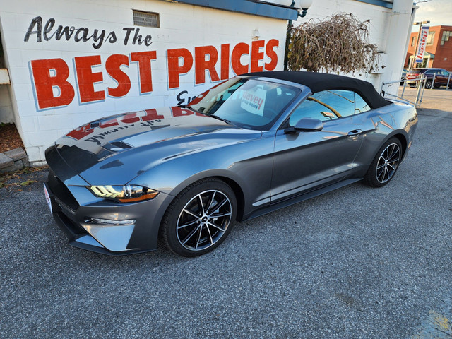 2022 Ford Mustang EcoBoost Premium COME EXPERIENCE THE DAVEY... in Cars & Trucks in Oshawa / Durham Region - Image 3
