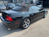 All vehicles come with a full vehicle History Report, ask to see it! 2003 Ford Mustang SVT 10th anni... (image 4)