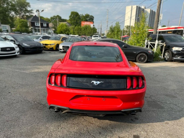 2019 Ford Mustang EcoBoost Fastback in Cars & Trucks in City of Toronto - Image 3