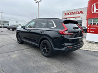 Come visit our Sterling Honda team, you can find us at 1495 Upper James Street, Hamilton, ON L9B 1K2... (image 6)
