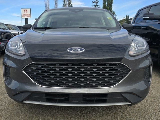 2022 Ford Escape SE Hybrid in Cars & Trucks in Grande Prairie - Image 2