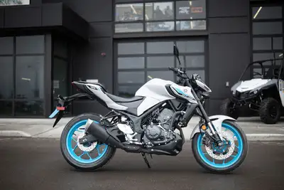 INCOMING PRE ORDER Engine Type: In-Line Displacement: 19.6 cu. in. (321 cc) Bore and Stroke: Bore: 2...