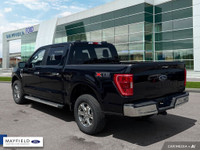 Engine: 8 Cylinder Engine 5.0L L/100Km City: 15.4 L/100Km Hwy: 11.8 Safety Equipment ABS And Driveli... (image 3)