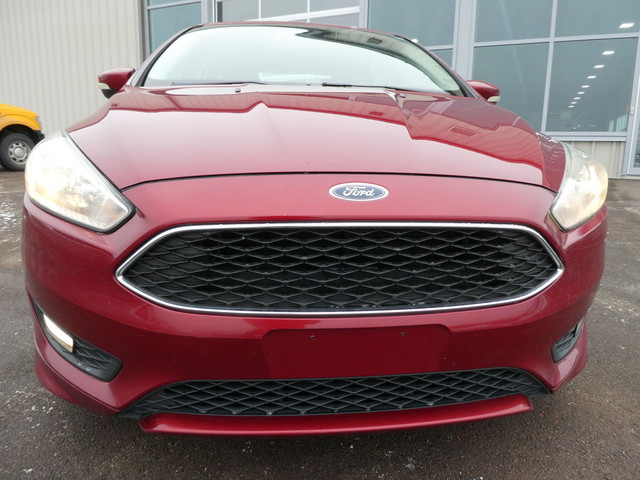  2015 Ford Focus SE,Back Up Camera, Heated Seats & Steering Whee in Cars & Trucks in Moncton - Image 2