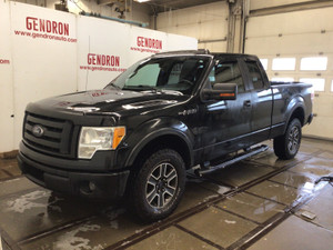 2010 Ford F 150 Other