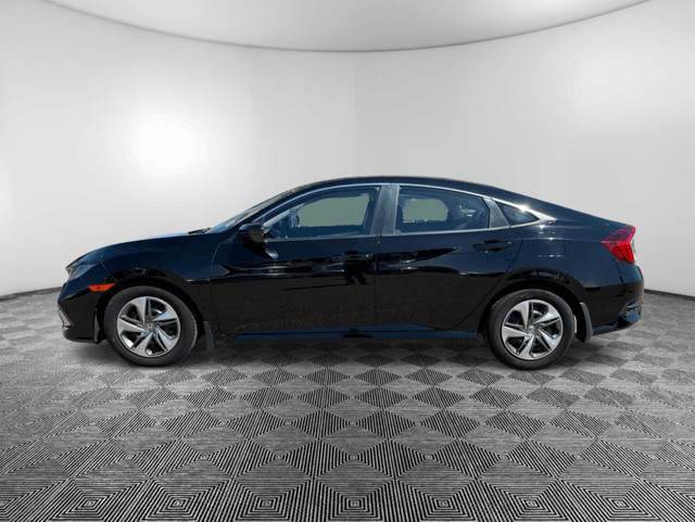 2019 Honda Civic LX Manual Sedan in Cars & Trucks in Medicine Hat - Image 2