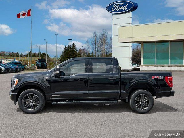 2022 Ford F-150 XLT in Cars & Trucks in Kitchener / Waterloo - Image 4