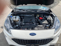 WAS: $29879 NOW: $24898 plus taxes and licensing feesDiscover the 2020 Ford Escape SEL: A Stylish an... (image 9)