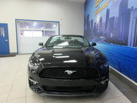 FORD MUSTANG 2016 CONVERTIBLE V6 AUTOMATIQUE TOUT ÉQUIPÉ / BLUETOOTH / CAMÉRA DE RECUL / CRUISE CONT... (image 4)