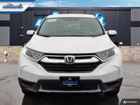 Come see this certified 2019 Honda CR-V LX | Remote Start | Heated Seats | CarPlay + Android | Alloy... (image 7)
