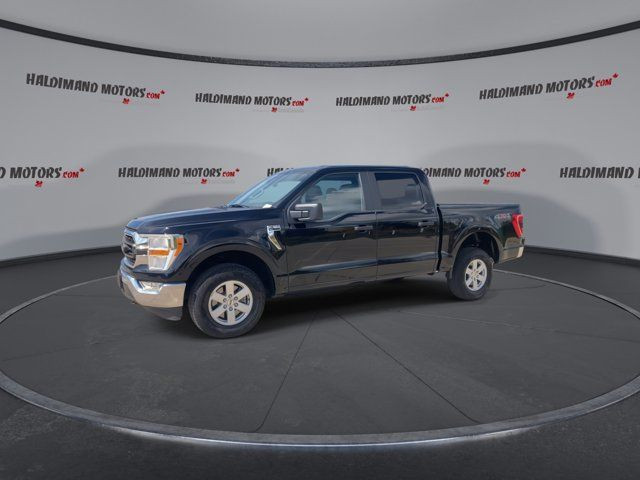 2022 Ford F-150 XLT 4WD in Cars & Trucks in Hamilton - Image 4