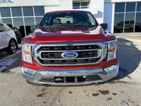 Dive into the robust world of the 2022 Ford F-150 XLT, a truck that blends power, practicality, and... (image 1)