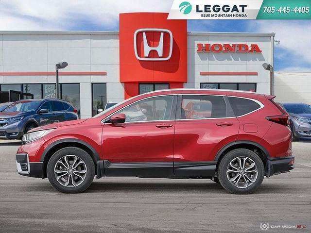 2020 Honda CR-V EX-L AWD in Cars & Trucks in Barrie - Image 3