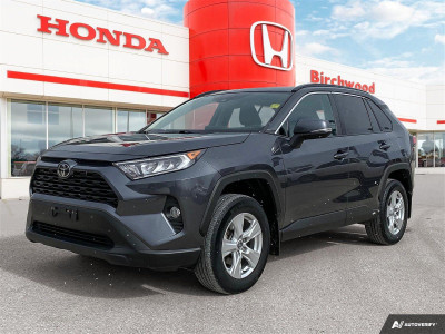 2019 Toyota RAV4 XLE AWD | Moonroof | Blind Spot