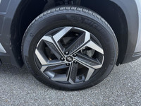 Hyundai Tucson Plug-In Hybrid Ultimate AWD Cuir Mags Toit Panoramique 2022 à vendreJAMAIS ACCIDENTÉ!... (image 3)