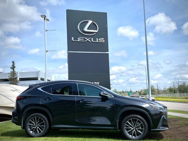 2025 Lexus NX 250 in Cars & Trucks in Calgary - Image 2