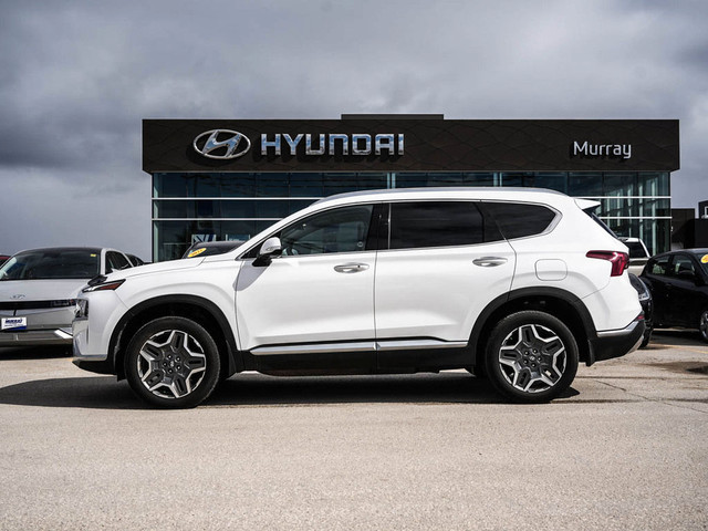 2023 Hyundai Santa Fe Hybrid Luxury AWD 5.99% Available in Cars & Trucks in Winnipeg - Image 4