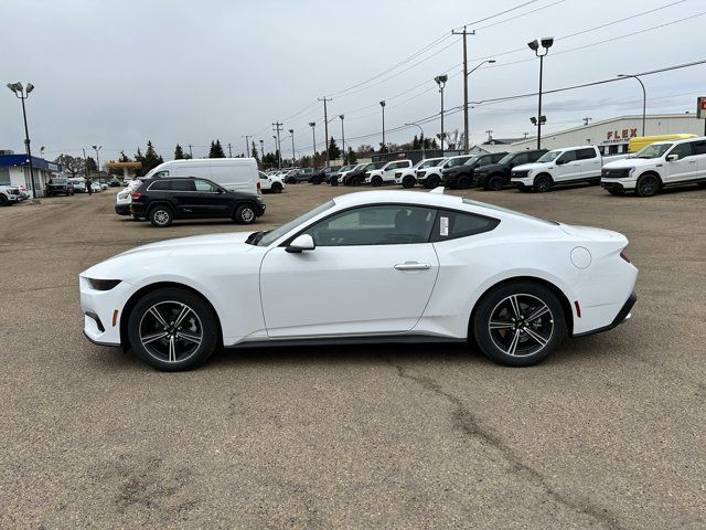 2025 Ford Mustang EcoBoost in Cars & Trucks in Edmonton - Image 3