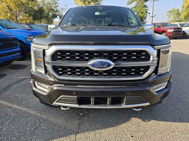 2021 Ford F-150 PLATINUM in Cars & Trucks in Calgary - Image 2