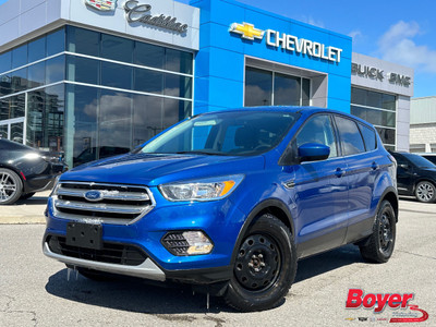 2017 Ford Escape SE HEATED SEATS|2 SETS OF TIRES|FWD