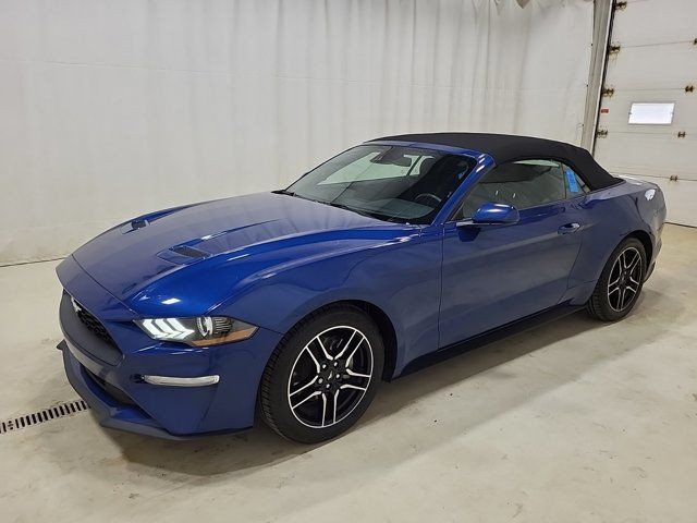 2022 Ford Mustang EcoBoost Premium Convertible | Manual | 101A in Cars & Trucks in Guelph