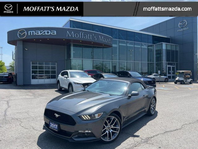 2017 Ford Mustang EcoBoost Premium - Leather Seats in Cars & Trucks in Barrie