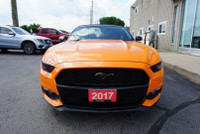 SAFETY INCLUDED LOCAL ONTARIO CAR Very Clean Ford Mustang Coupe 2.3L 4Cyl Eco Boost Convertible Prem... (image 1)
